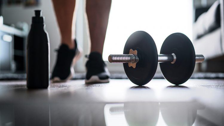 Online Personal Training A Top Choice For Those Working Out In Home Gyms